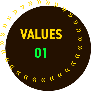 VALUES 01