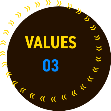 VALUES 03